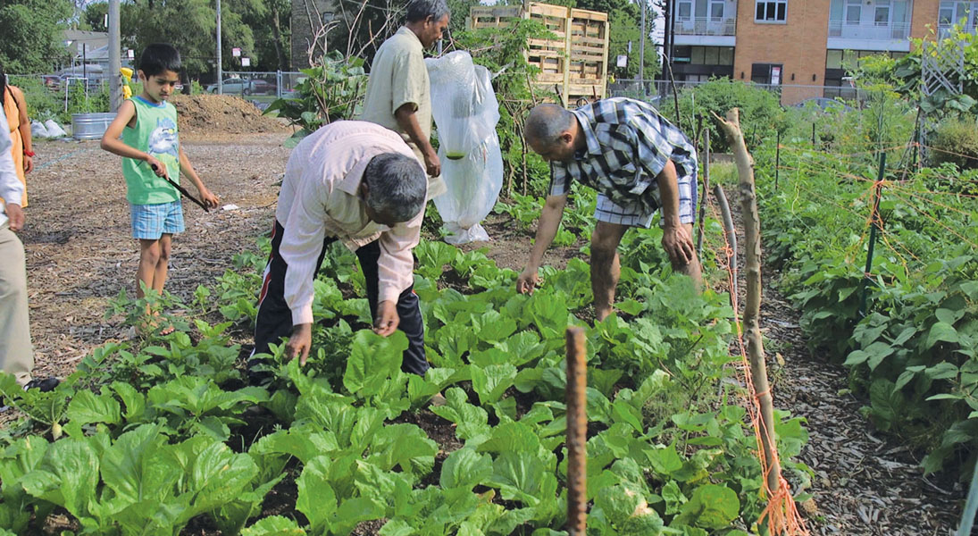 Gathered at the garden