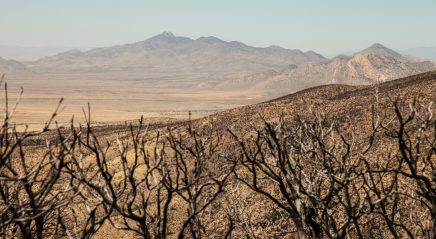 Lectionary blog: ‘Valley of the weeper’