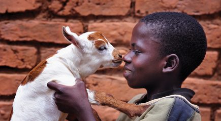 Debunking myths about ELCA Good Gifts