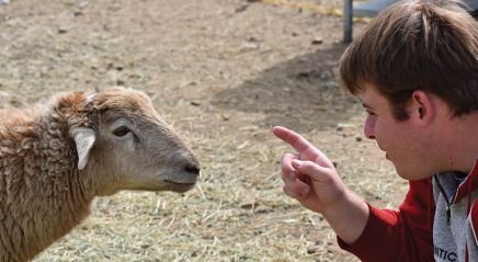 Harvest lessons at camp