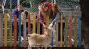 Two girls reach over a fence to pet a goat.