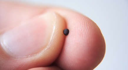 Lectionary blog: The kingdom of heaven is like …