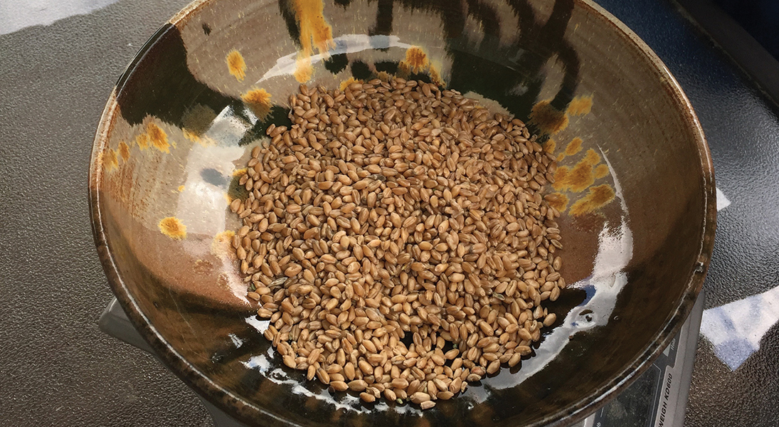 A bowl of wheat