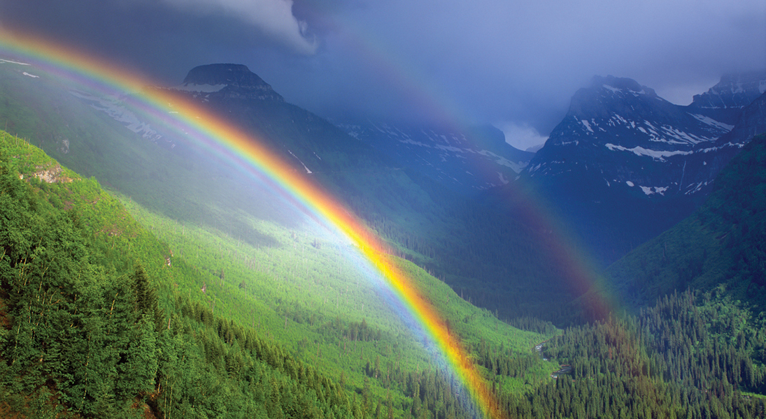 Christmas gifts that give back