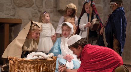 Pillow fights, wild hogs and more