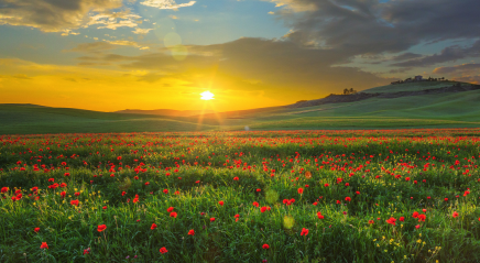 Prayer Ventures: July 27