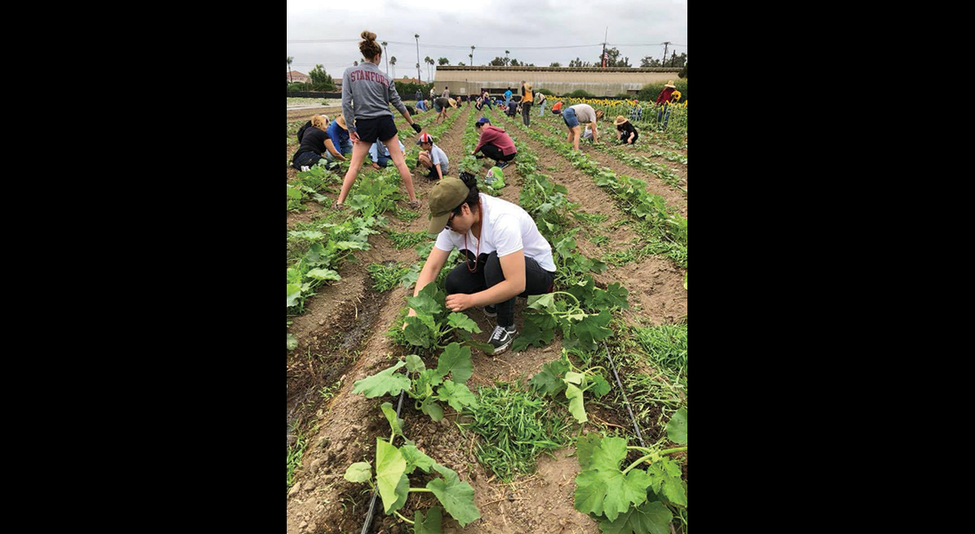 interfaith labor day harvest