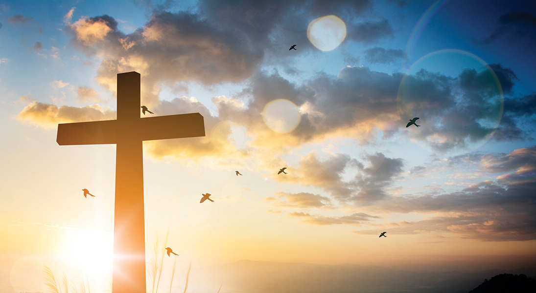 All we have to live on