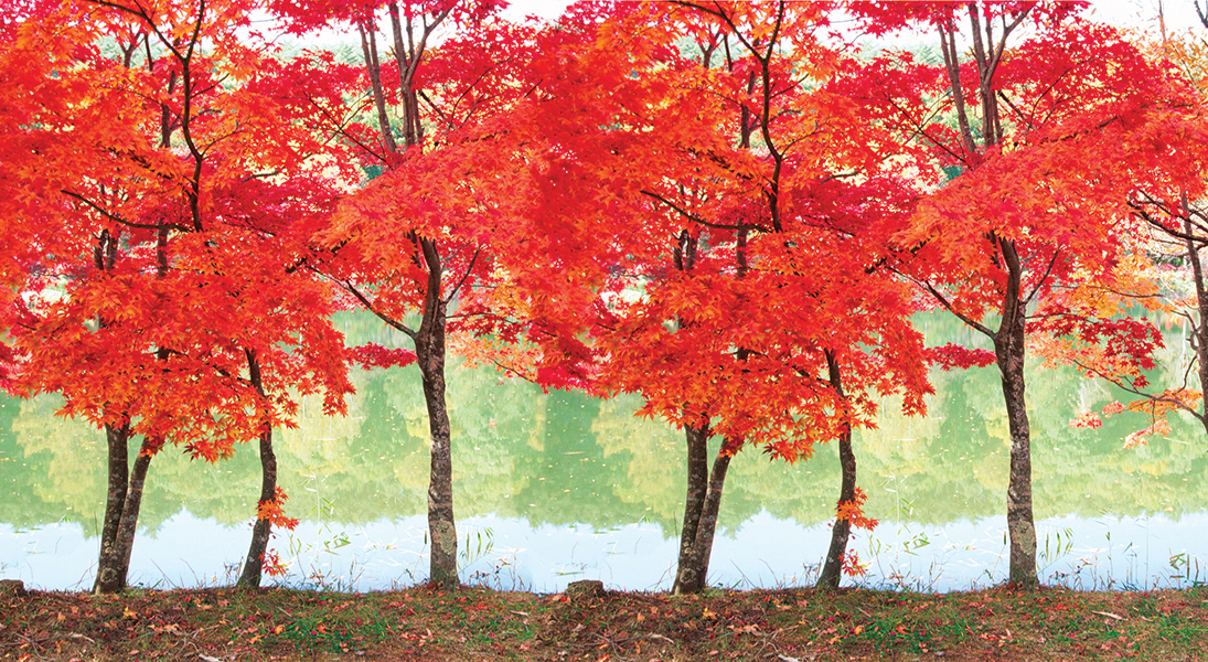 Perspective: Pruned open