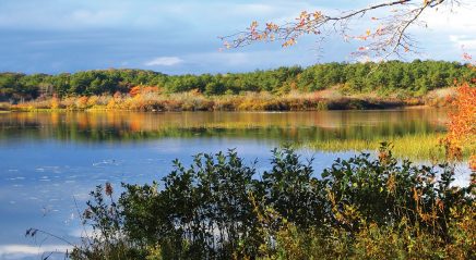 My take: How poetry leads us to see creation anew