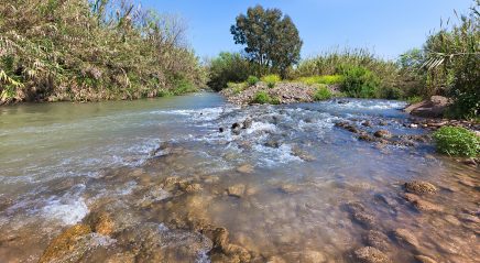 Lectionary blog: Universal, yet unimpressive, ministry