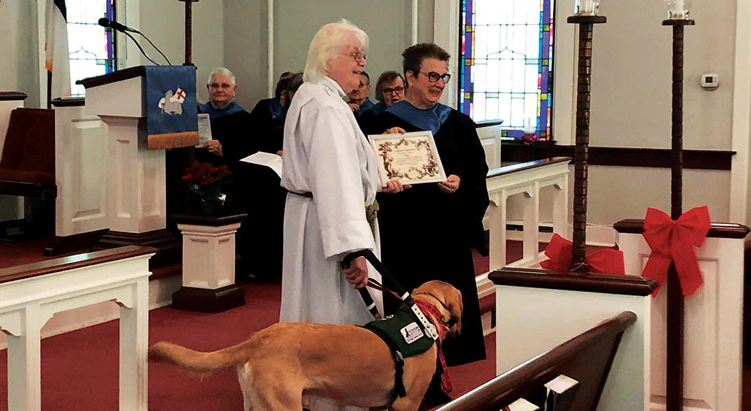 One faithful, furry friend