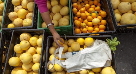 Bread for today, hope for tomorrow