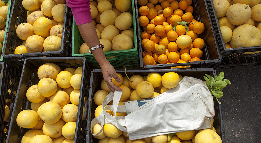 Domestic Hunger - Iskashitaa Refugee Network