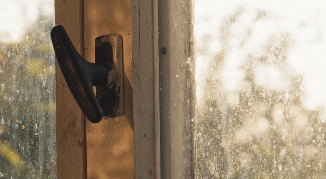 A deeper vision of the kingdom