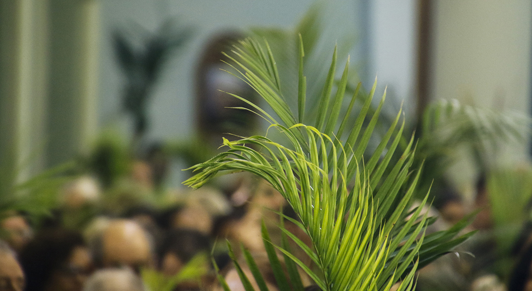 Lectionary blog: Even Jesus relies on Scripture