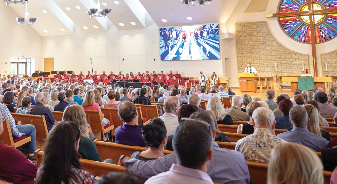 Study guide: A liberating hope