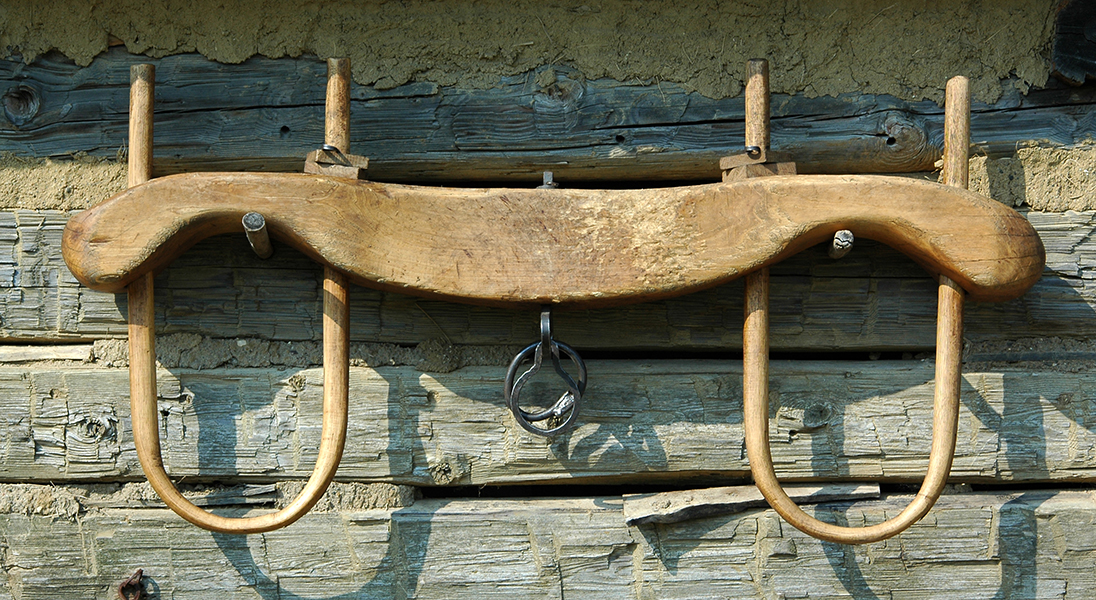 Lectionary blog Choosing the right yoke Living Lutheran