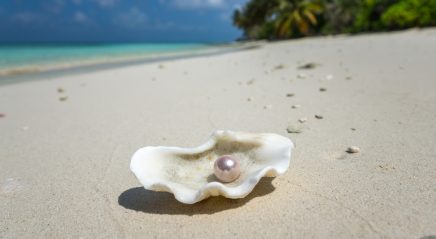 Lectionary blog: Discerning the parables