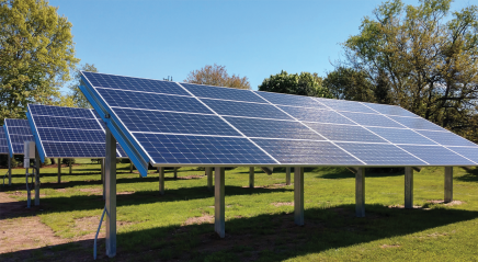 Congregations go green