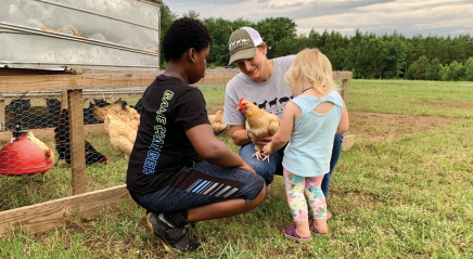 Stewards of creation