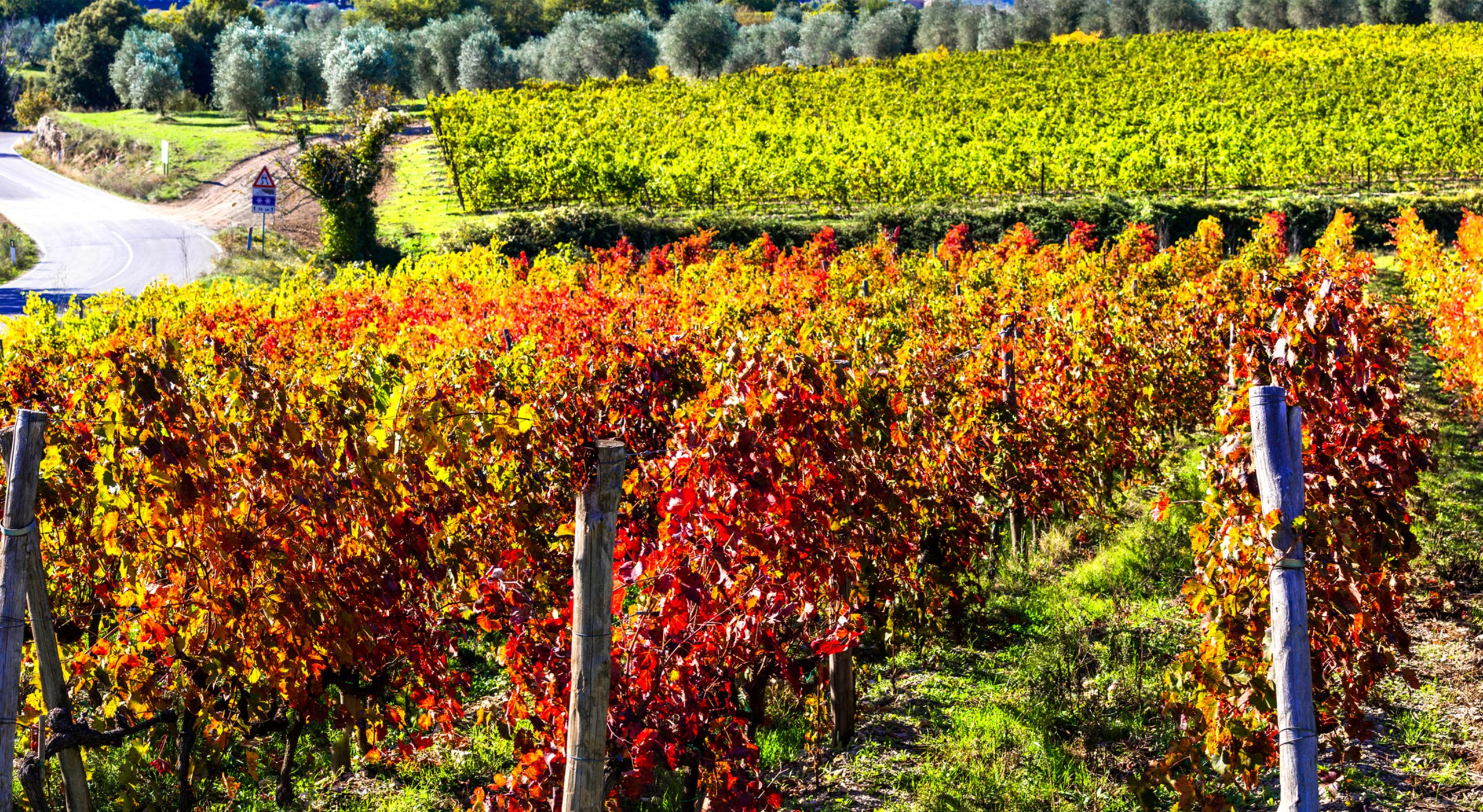 Lectionary: Grapes of justice and grapes of wrath