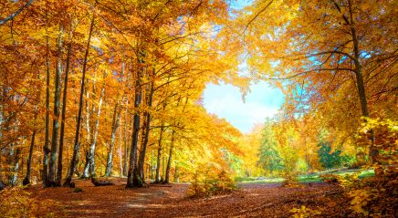 Prayer ventures: Oct. 12