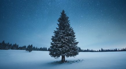 A song after silence