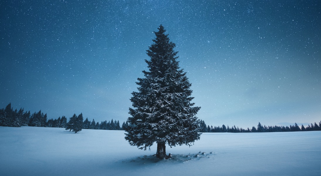 A song after silence