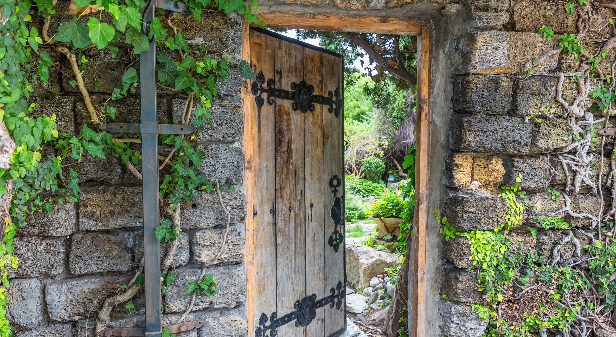 Lectionary blog: Advent—a confusing beginning