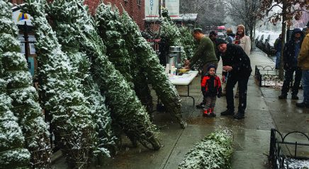 Christmas trees of giving