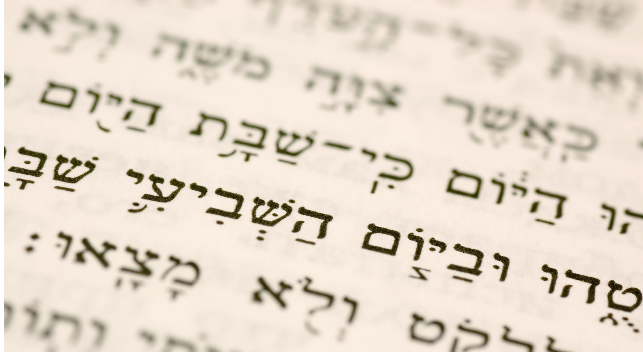 Lectionary blog: A prophet like me