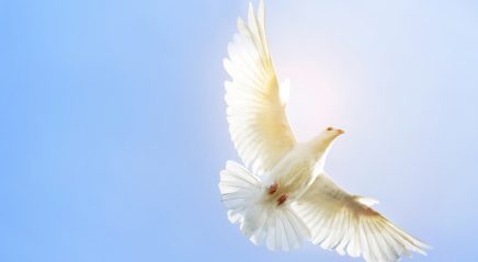 Lectionary blog: Divine emotions