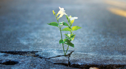 My life is a gift to others