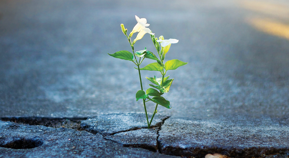 My life is a gift to others