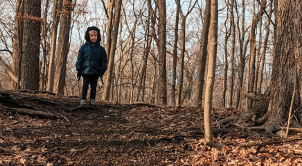 Searching for the Spirit