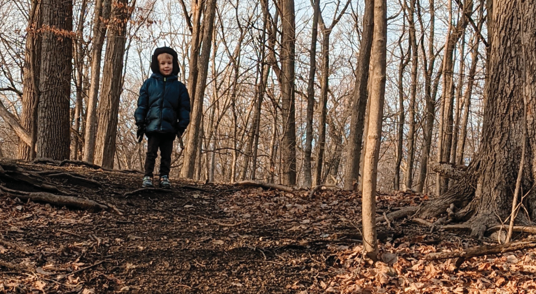 Searching for the Spirit