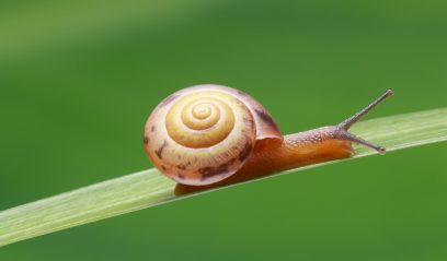 The joy of not-knowing