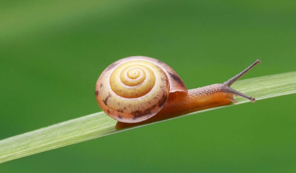 The joy of not-knowing