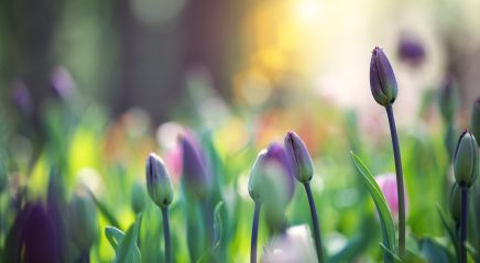 Prayer ventures: April 17