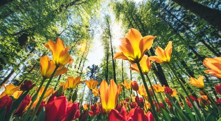 Prayer ventures: May 19