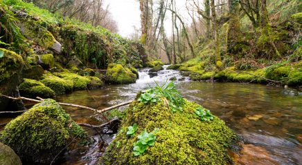 Prayer ventures: May 10