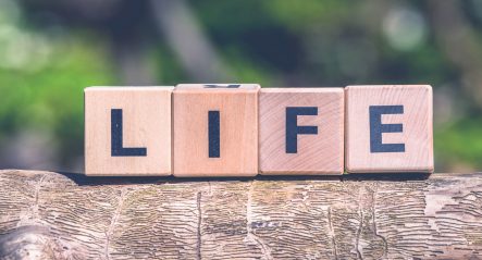 Lectionary blog: Valuing life