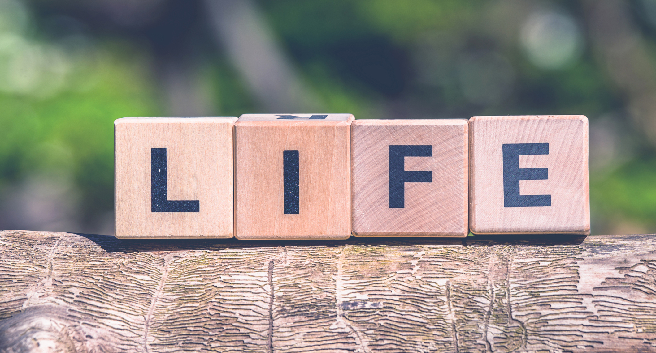 Lectionary blog: Valuing life - Living Lutheran