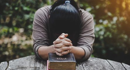 Prayer ventures: July 24