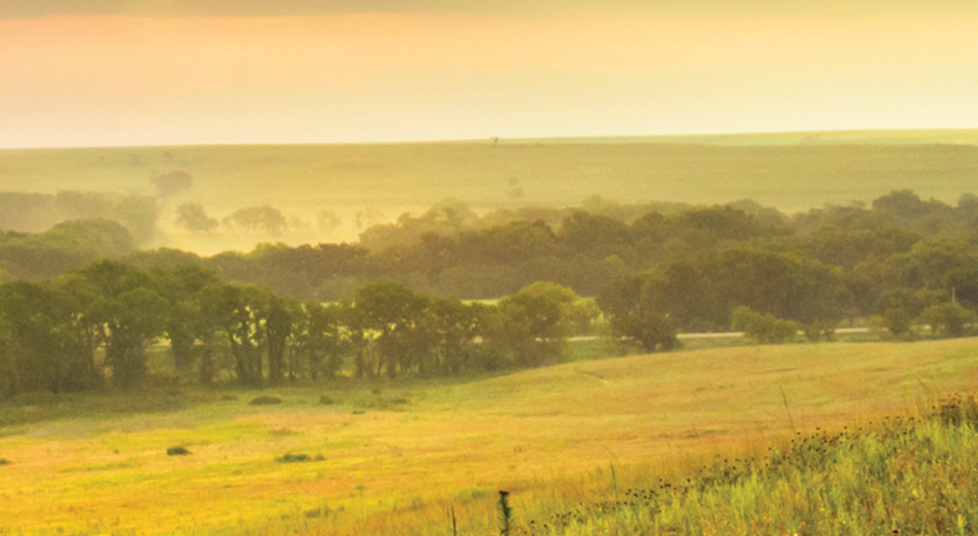 A God we can <i>truly</i> trust