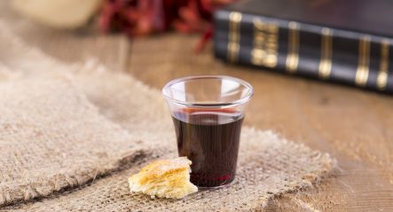 Lectionary blog: Words of spirit and life