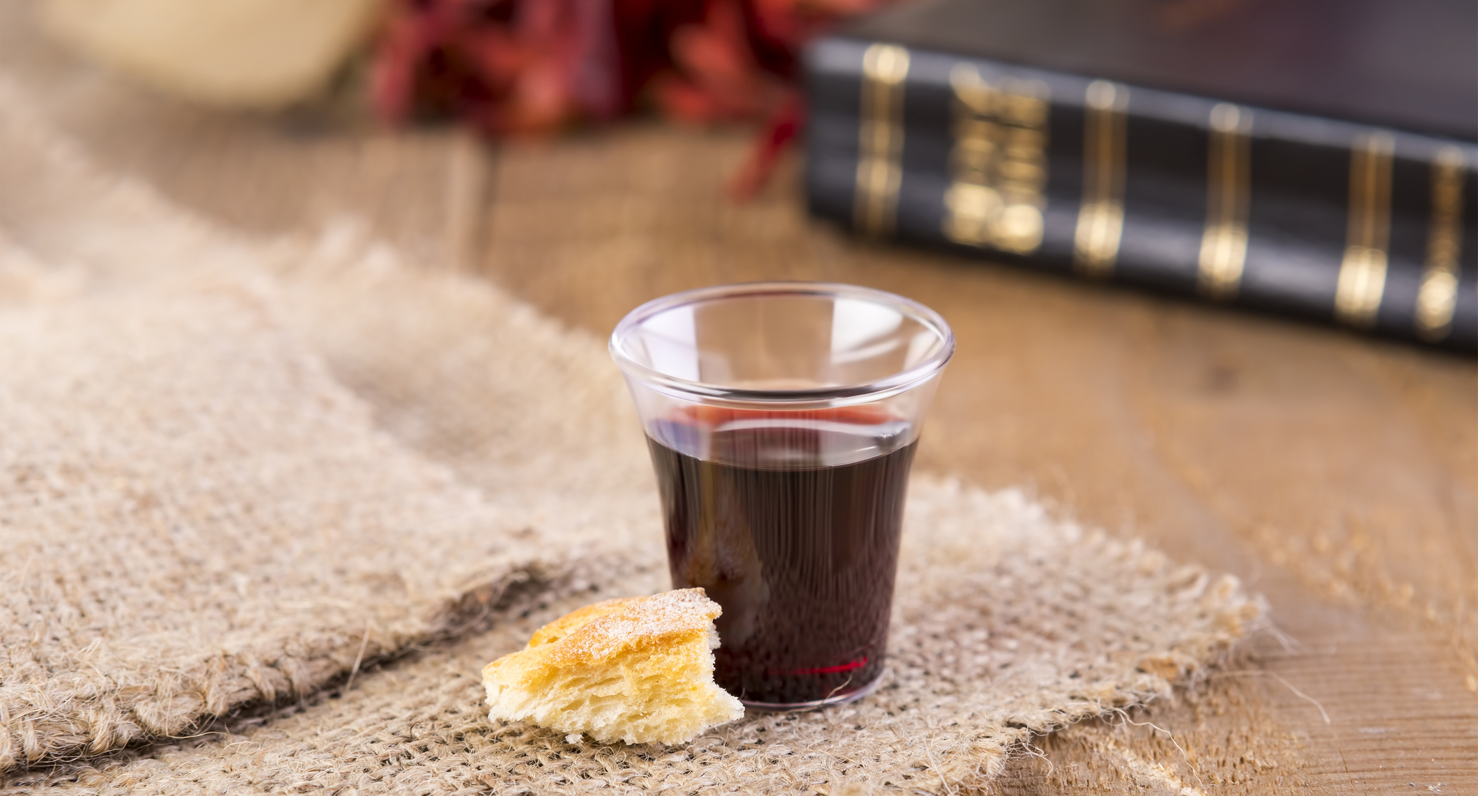 Lectionary blog: Words of spirit and life