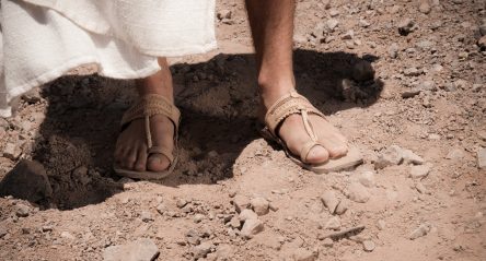 Lectionary blog: God cares for all