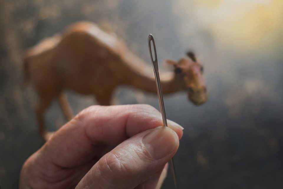 A camel in the backgroudn with a hand holding a needle in the foreground